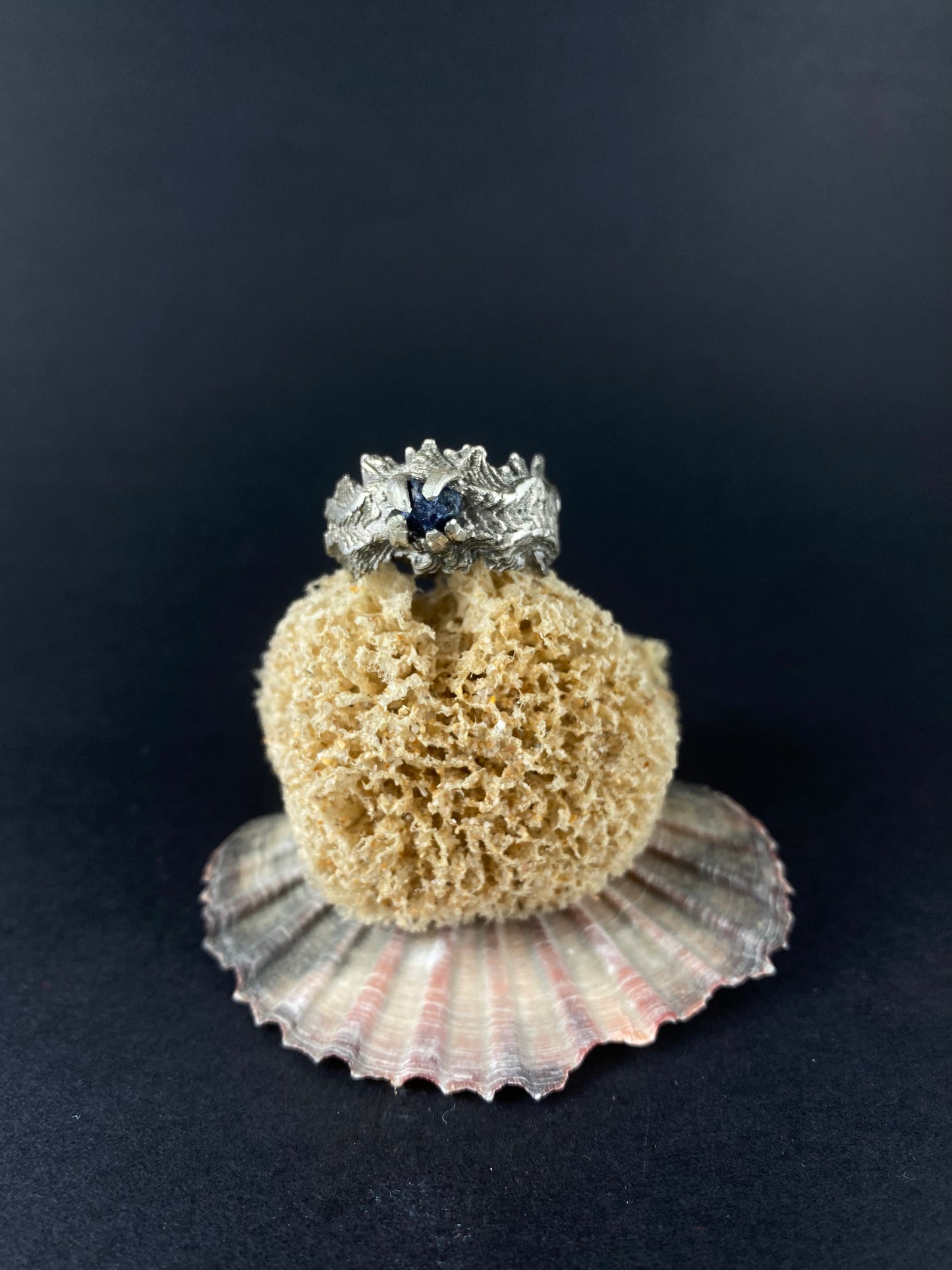 Fossick - Ring