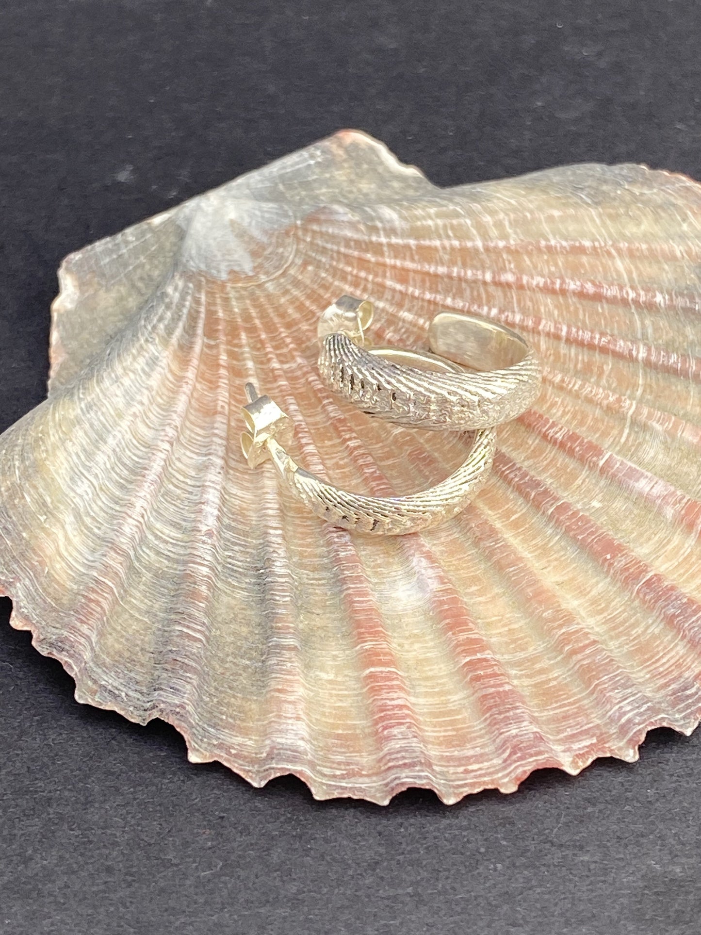 Tidal Hoops
