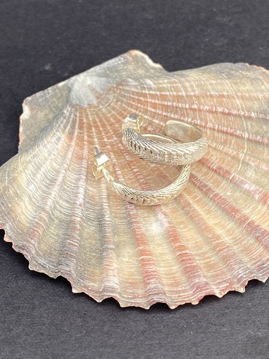 Tidal Hoops
